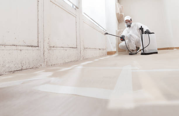 24/7 Emergency Mold Remediation experts in Montclair, NJ